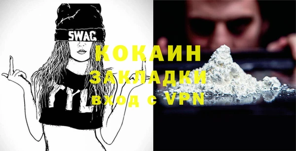 индика Надым