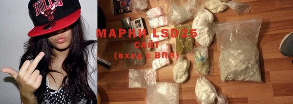 индика Надым