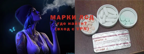 индика Надым