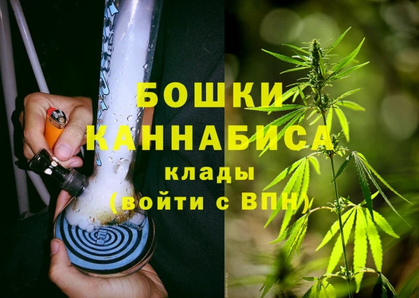индика Надым
