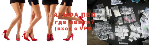 индика Надым