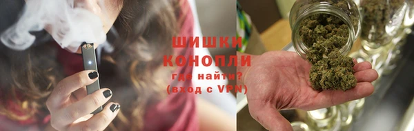 индика Надым