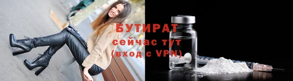 индика Надым