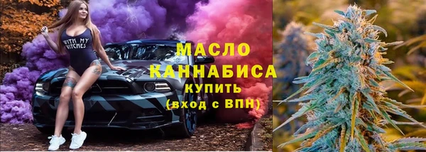 индика Надым