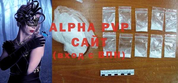 индика Надым
