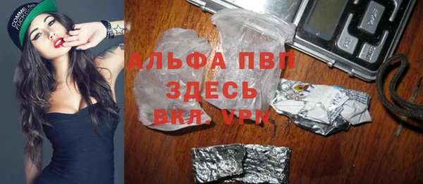 индика Надым