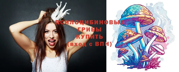 хмурый Наволоки