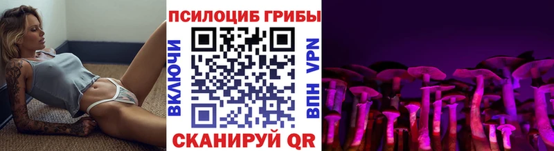 Псилоцибиновые грибы Cubensis  наркошоп  Нелидово 